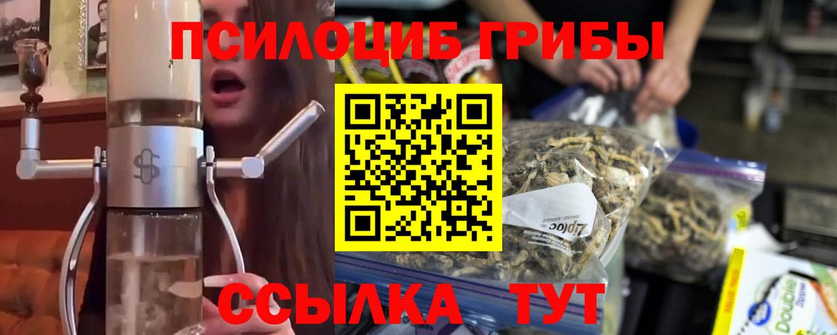 Псилоцибиновые грибы мицелий Калач-на-Дону